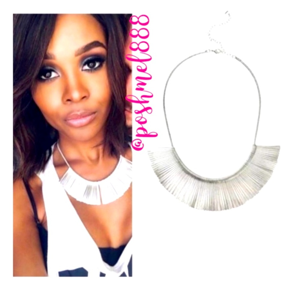 :: Stella & Dot | SILVER Essential Fringe Necklace